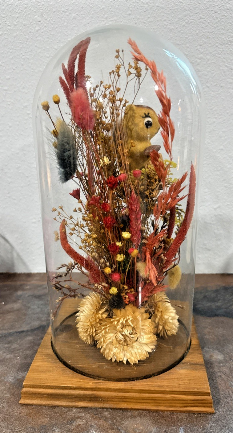 Vintage Roppolo Squirrel Diorama Dome – Mid-Century Floral Taxidermy style