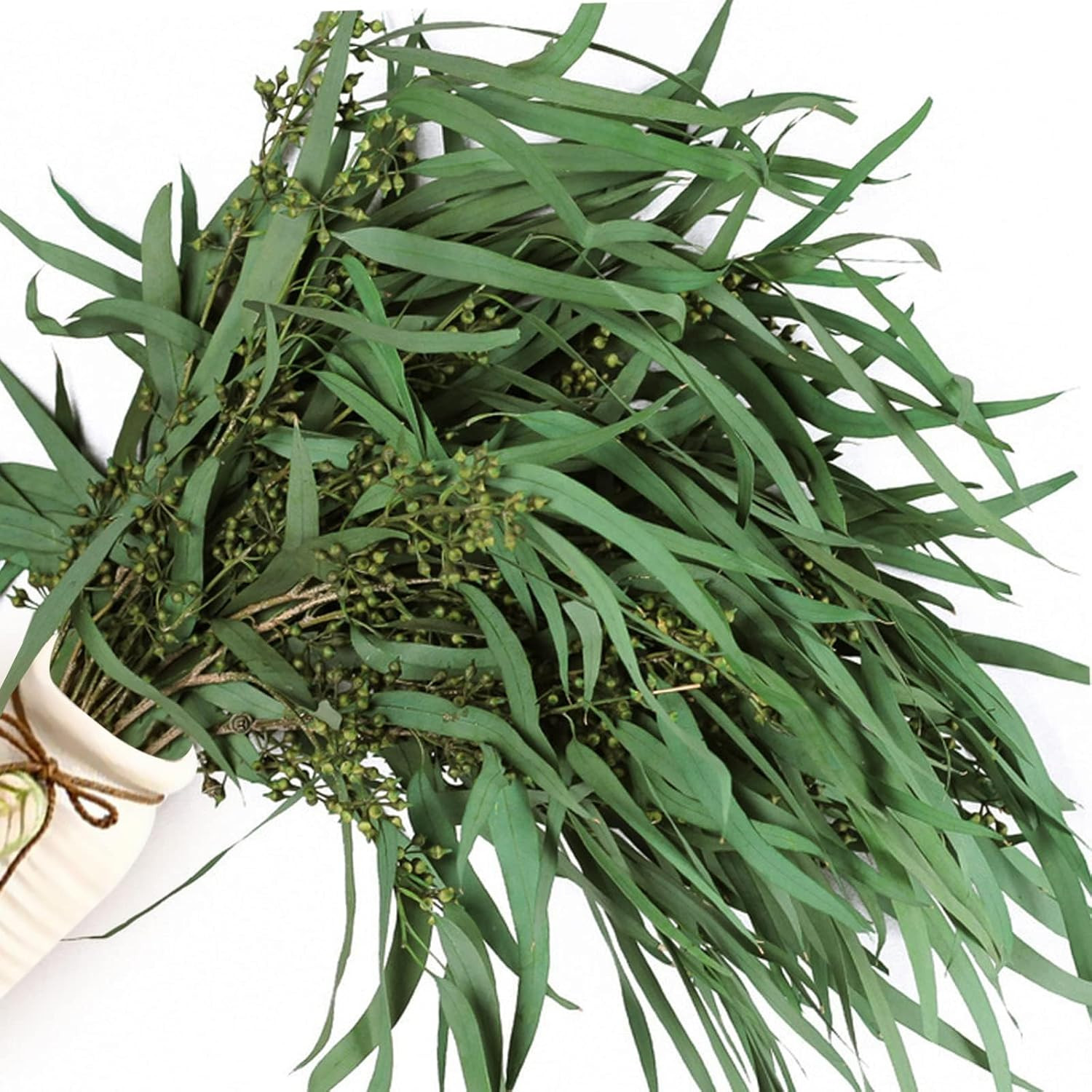 17” Real Dried Seeded Eucalyptus Stems for Shower, Preserved Natural Eucalyptus