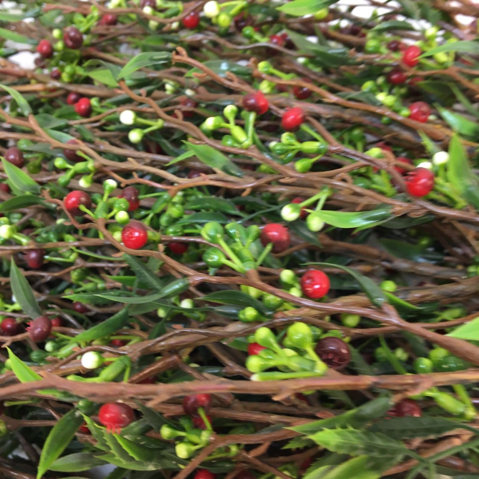 Set of 5 Red and Sage 30-36″ Pip Berry Sprays for Decor