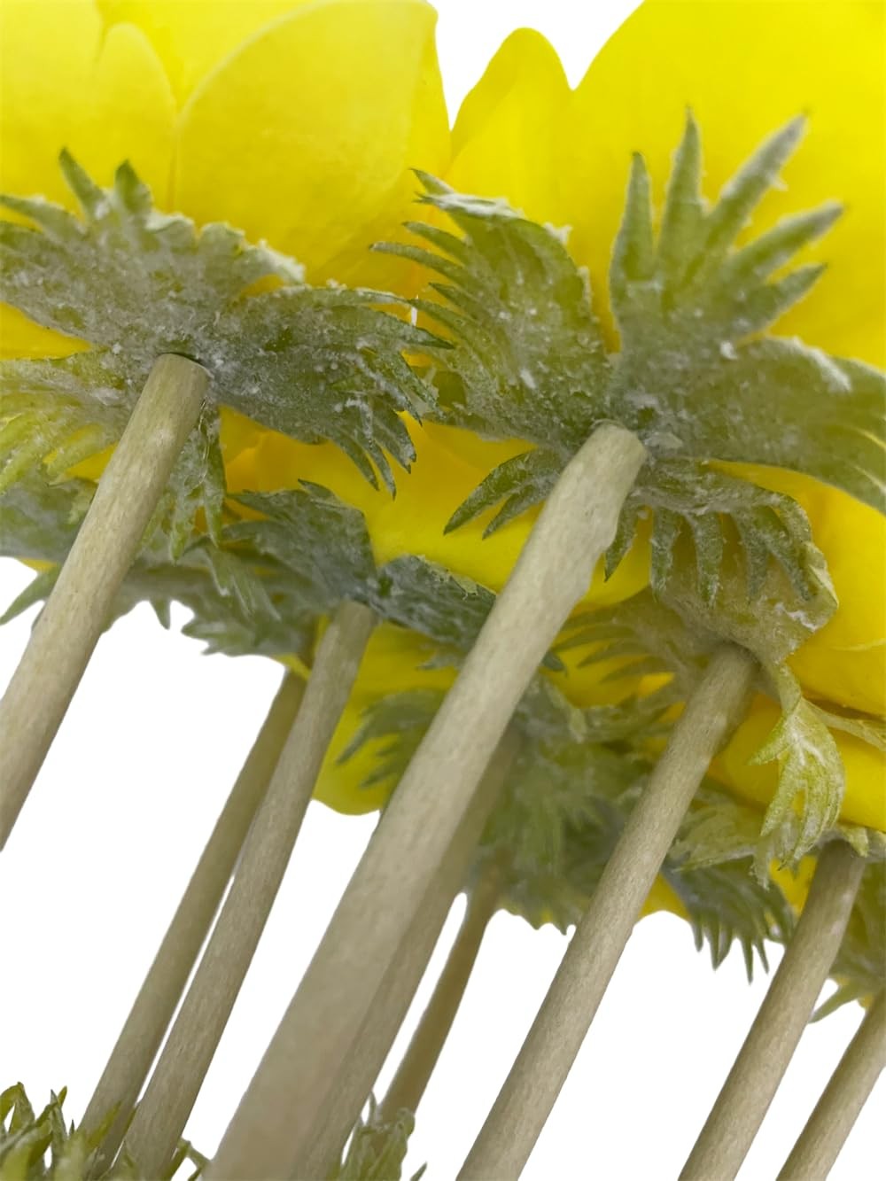 5 PCS Yellow Artificial Real Touch PU Anemone Flower Bouquet Room Home Decor