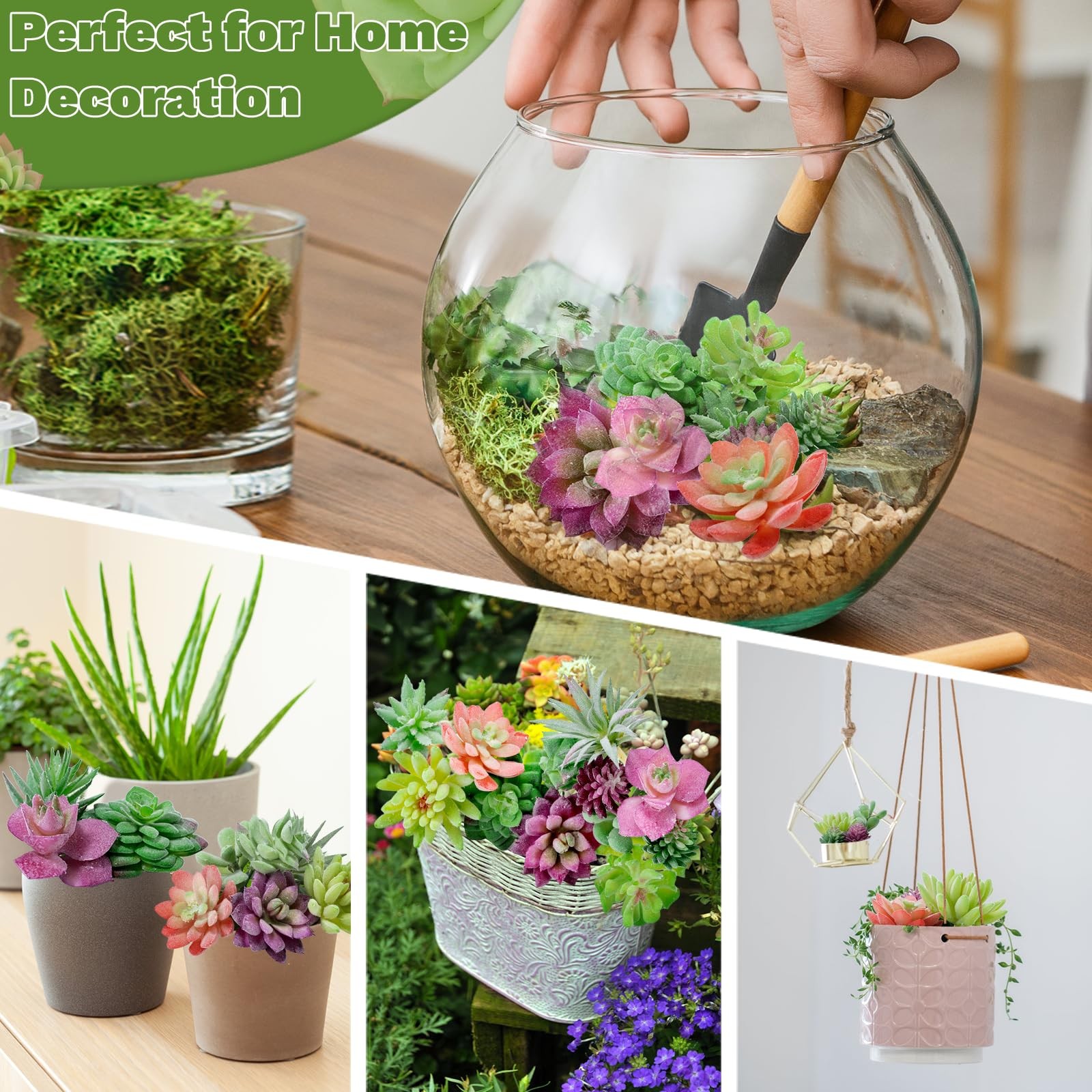 WOHSEROM 12 Pack Realistic Flocked Artificial Succulents, Faux Plastic Succul…