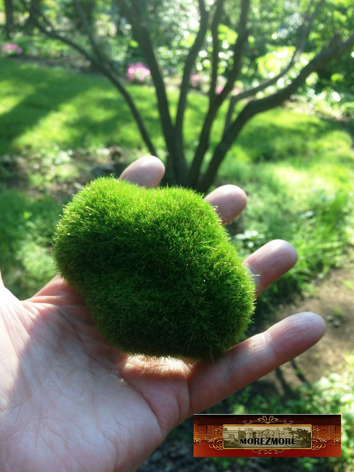 M01442 MOREZMORE 5 Artificial Fake Faux Emulation Moss Fuzzy Stone Balls Rocks