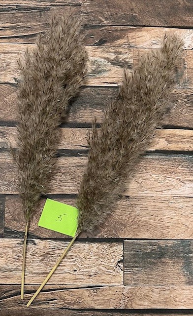 Natural Dried Pampas Grass ~ Boho ~ Home Decor ~ Wedding ~ 70 pcs