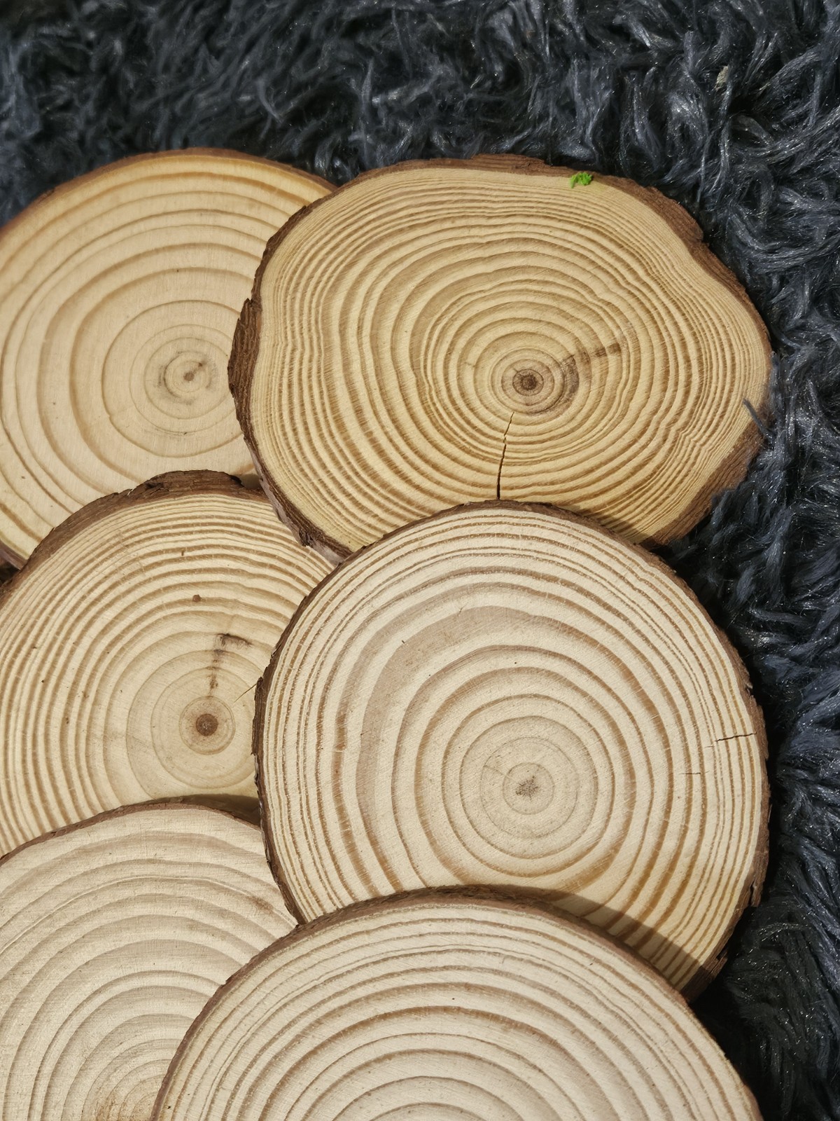 16 PCS Natural Tree Round Wood Log For Wedding Centerpiece, Arts and Crafts