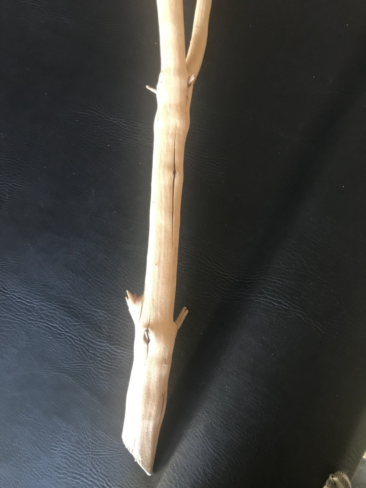 MANZANITA SAND BLASTED BRANCHES [ 3 ]