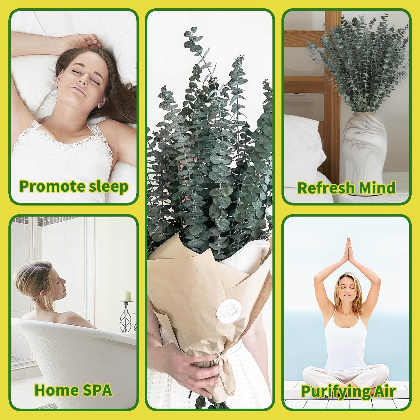 41 PCS Dried Preserved Eucalyptus Bundle for Shower-17 Real Large Dried