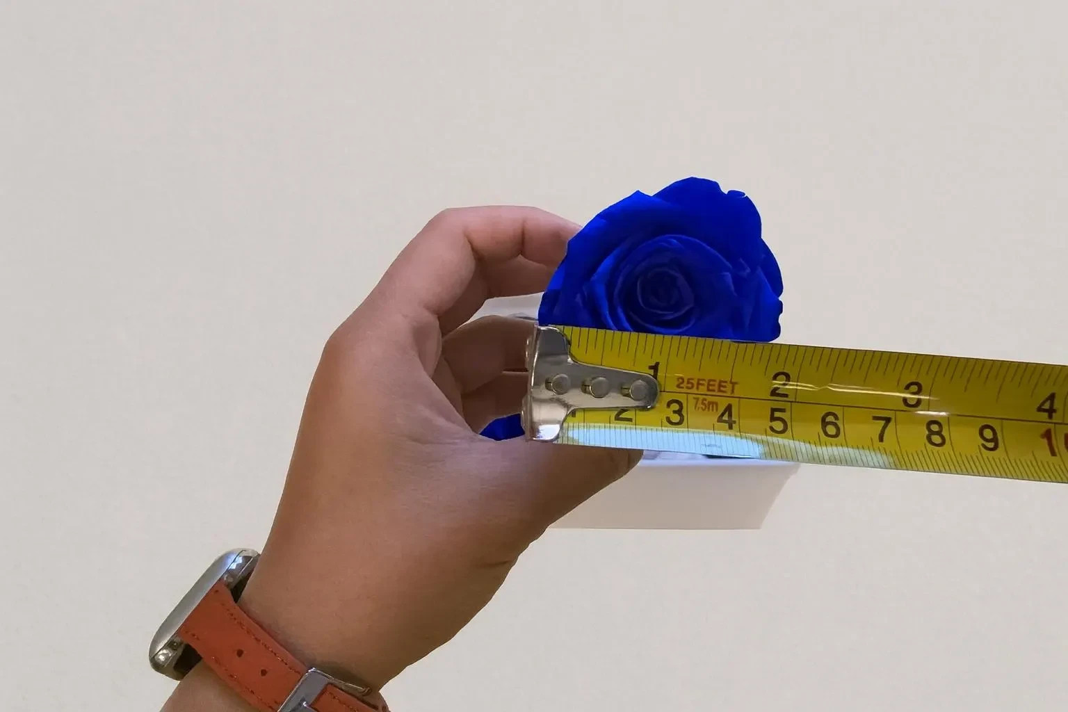 8 Preserved Blue Roses Real Eternal Flowers DIY Crafts Wedding Gift Decor