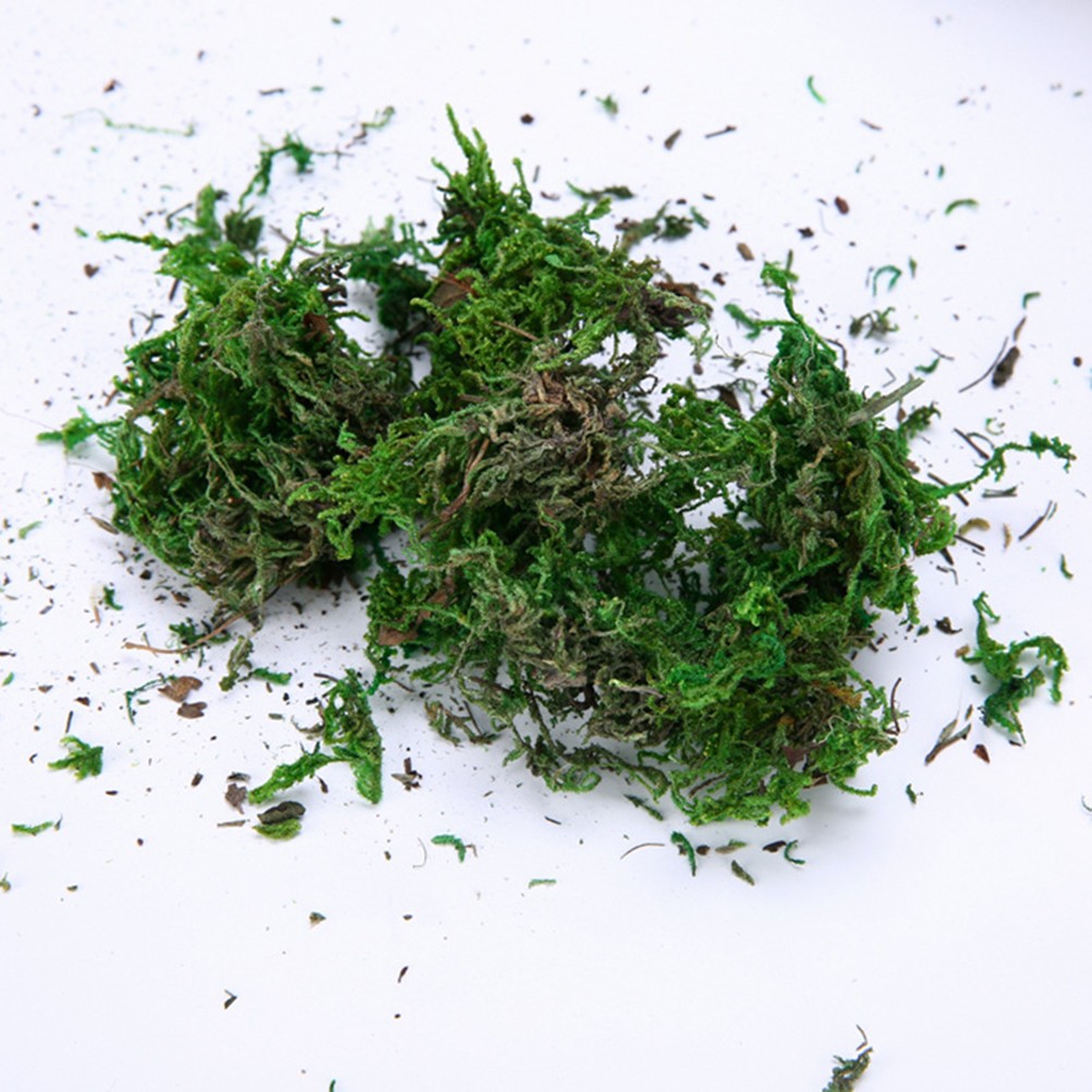 Artificial Green Moss Durable Material for Miniature Garden House DIY Decoration