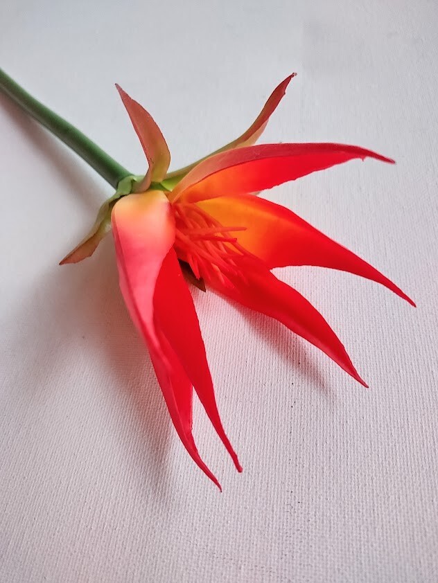 28″ Artificial Flamingo flower tropical stem. ORANGE