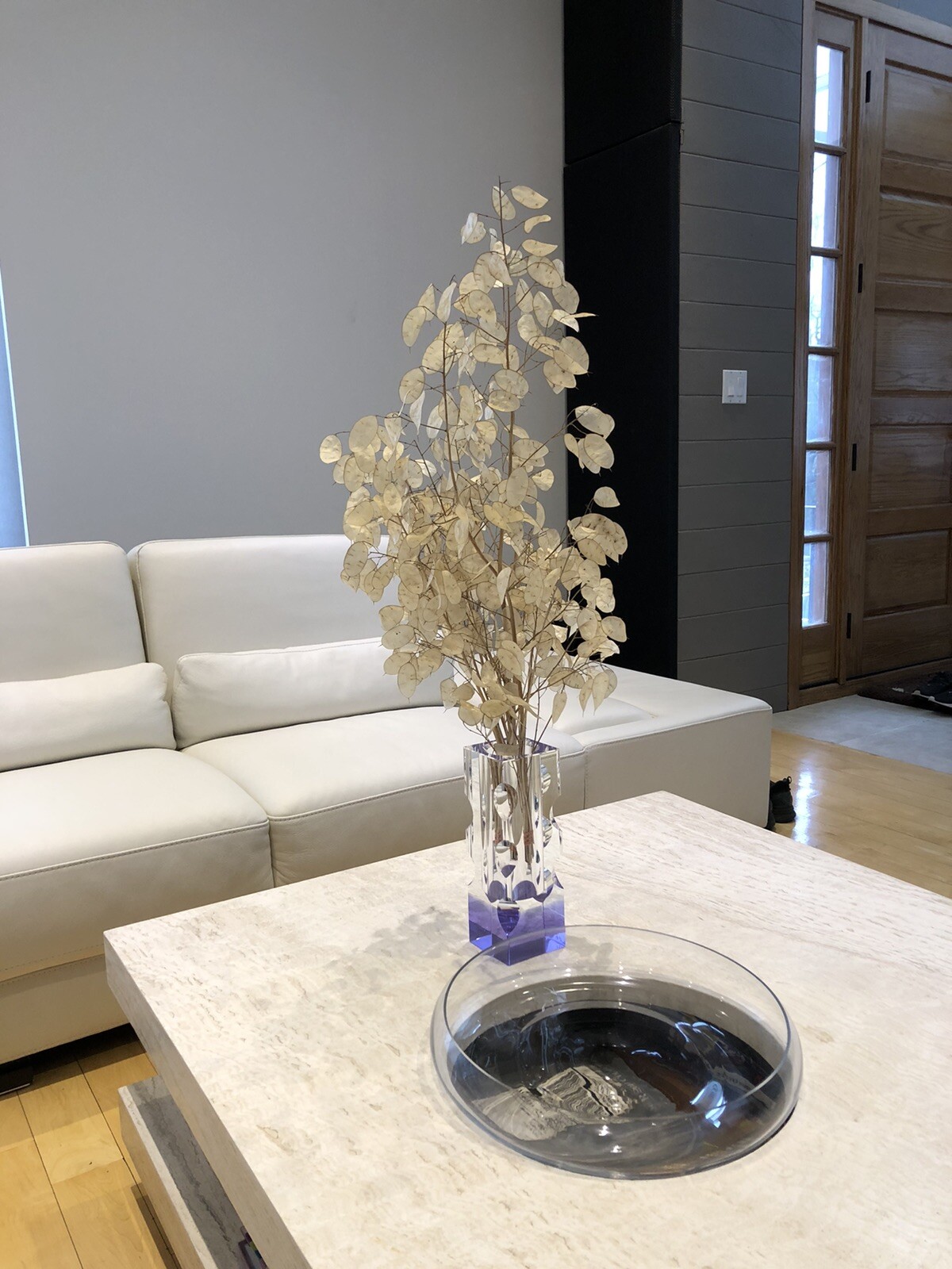 DRIED LUNARIA MOONWORTH HONESTY SILVER DOLLAR PLANT 11 STEMS 17-33” In