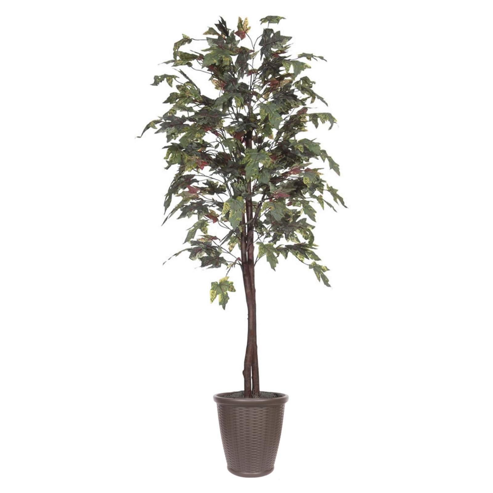 Pemberly Row 6′ Artificial Frosted Maple Tree w/ Black Plastic Pot – Green/Brown