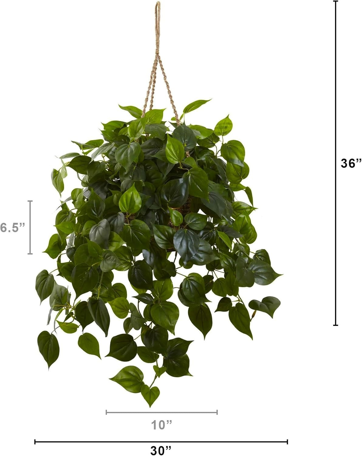 UV Resistant Philodendron Hanging Basket for Indoor & Outdoor Use