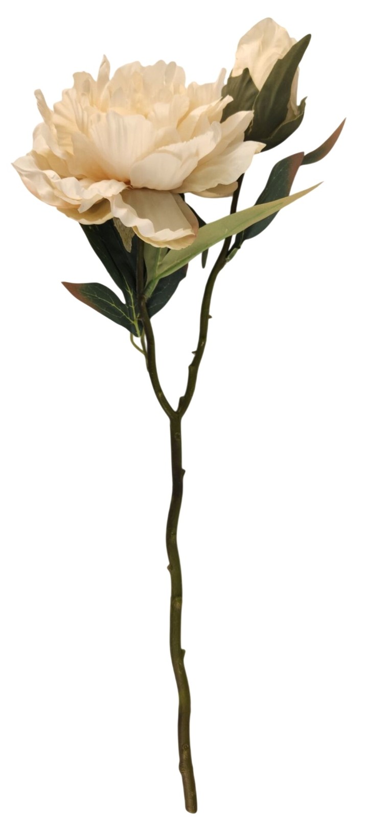 Cream Artificial Peony Stem 18 Inch Faux Peony Flower Stem Wedding Bouquet Flora