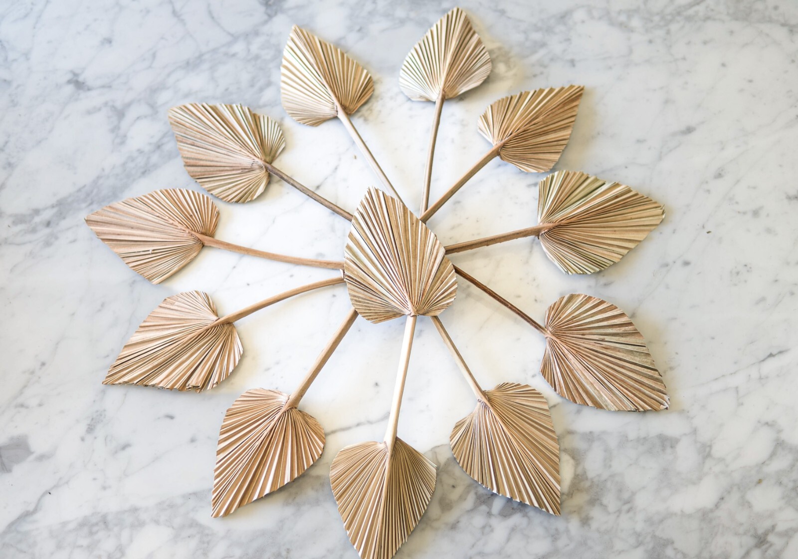 Dried Palm Leaves Pack of 12 Heart Oval Shape Dried Palm Spears