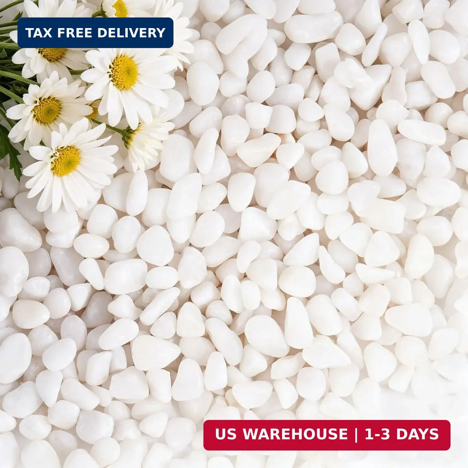 10 lbs White Gravel, 3/8 Inch Decorative Rocks Suitable for Potted Plants,Small