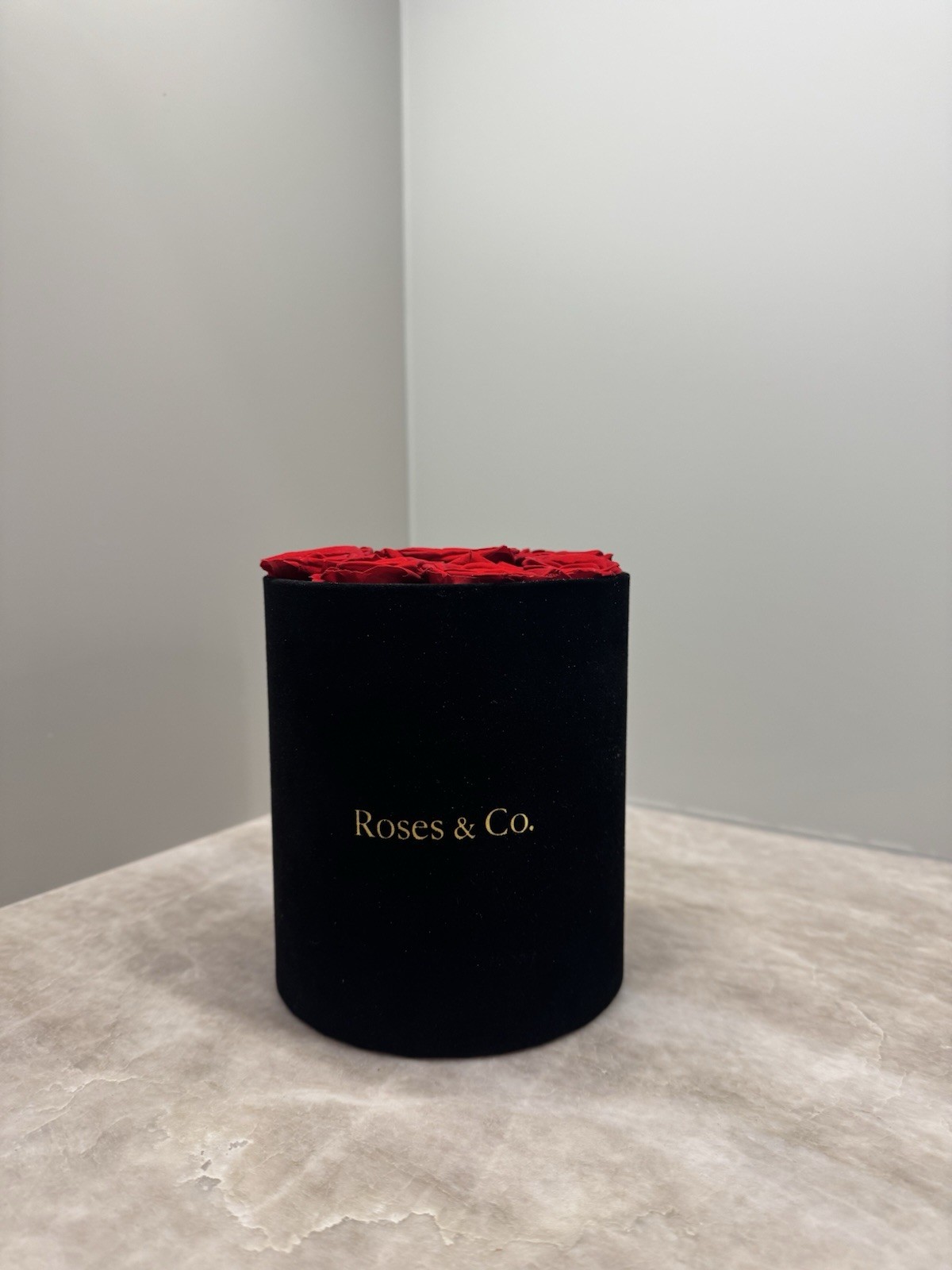 Premium Red Rose Box 9 Preserved Dutch Roses Velvet Luxury Gift for Her