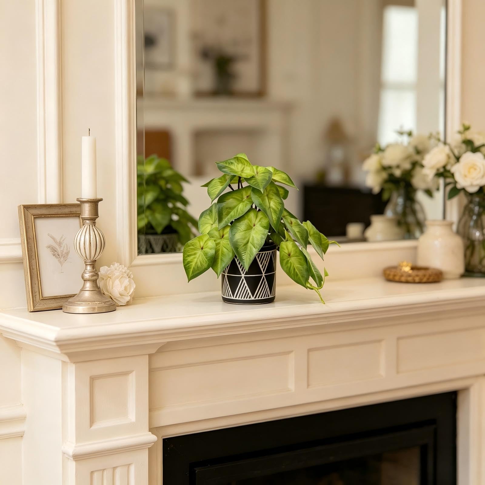 Small Ivy Plant Black White Geo Cement Pot Desk Decor