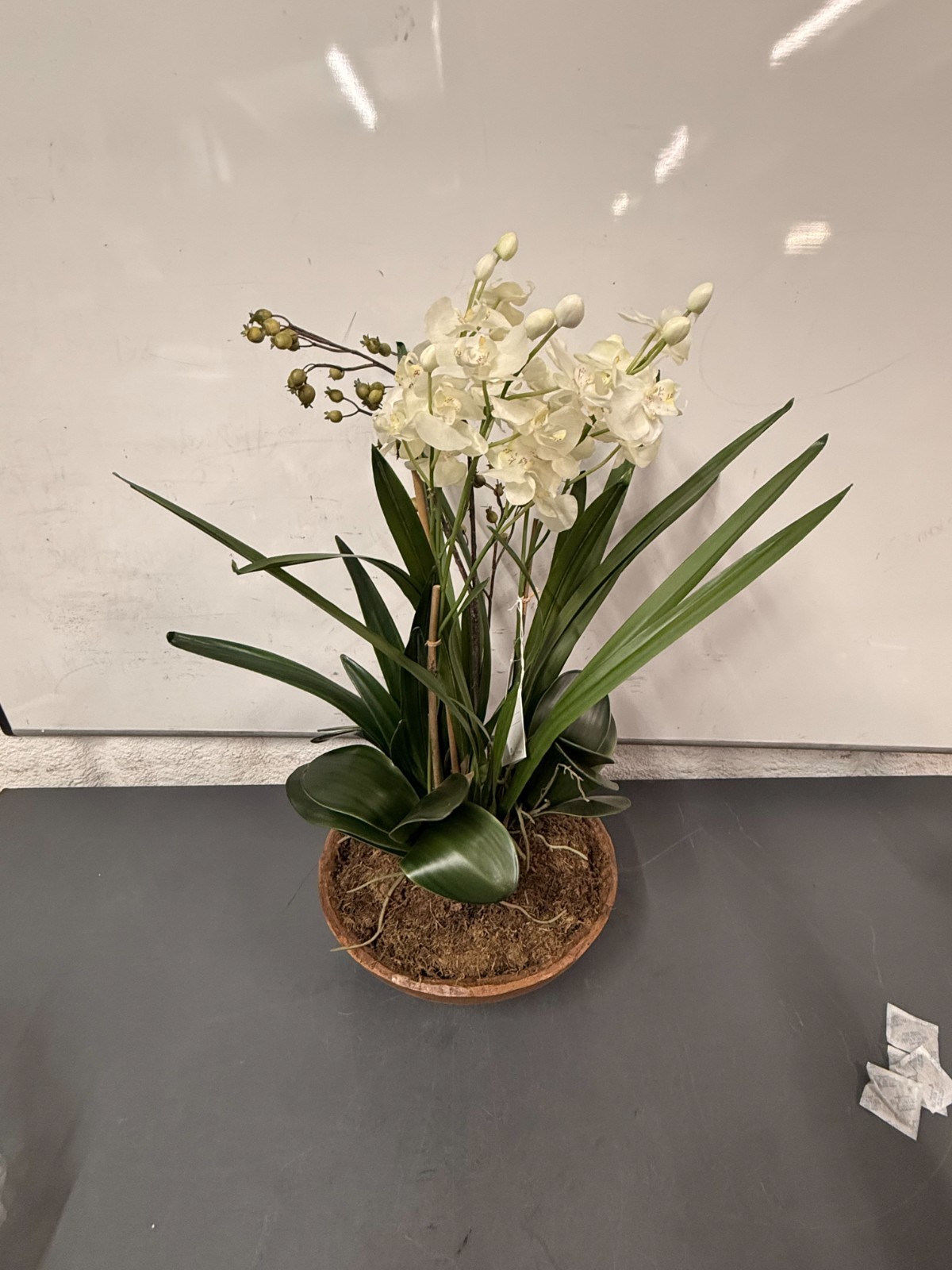 Uttermost Hand-Painted Garden of Moth Orchid Planter, Natural Brown Dish # 60039