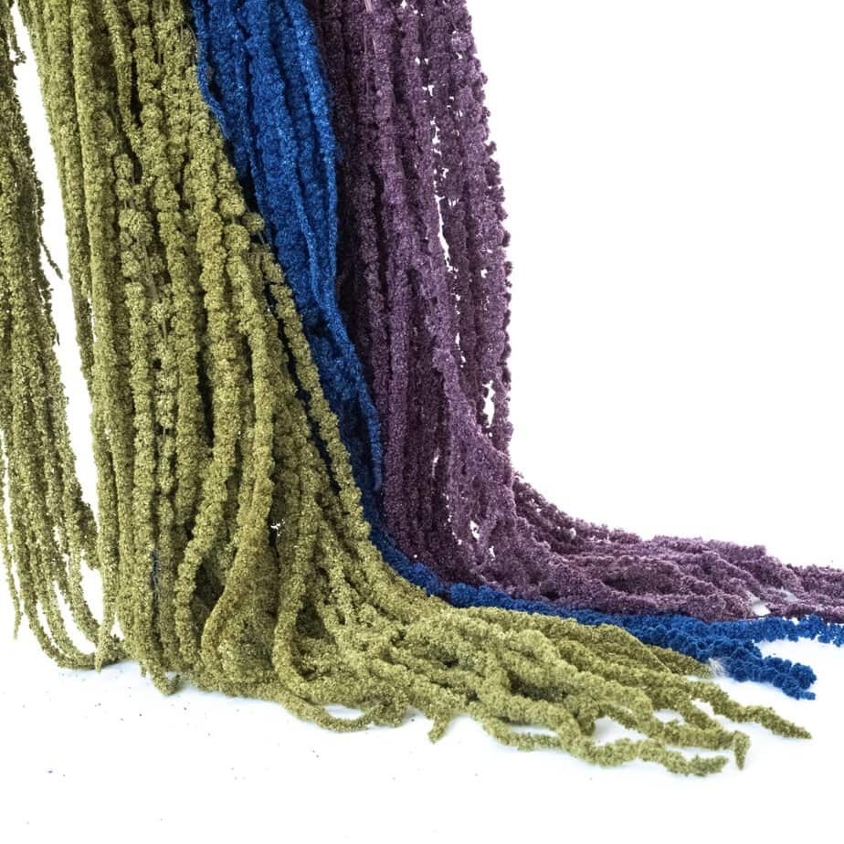 Preserved Amaranthus Premium Natural Dried Flowers Home Wedding Bouquet Decor