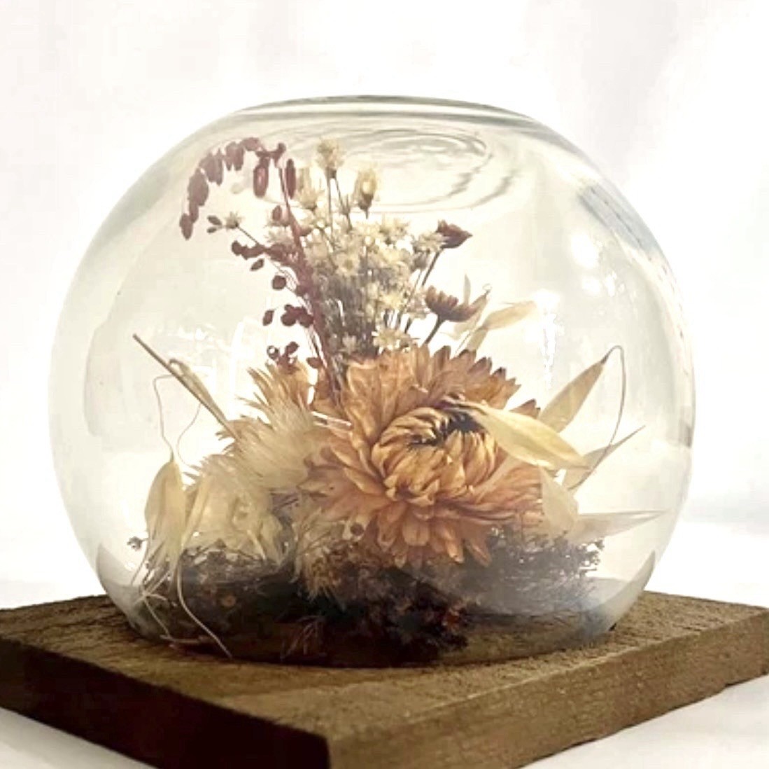 Vintage 60s Dried Flower Glass Terrarium Bird Floral Strawflower Daisy Bouquet