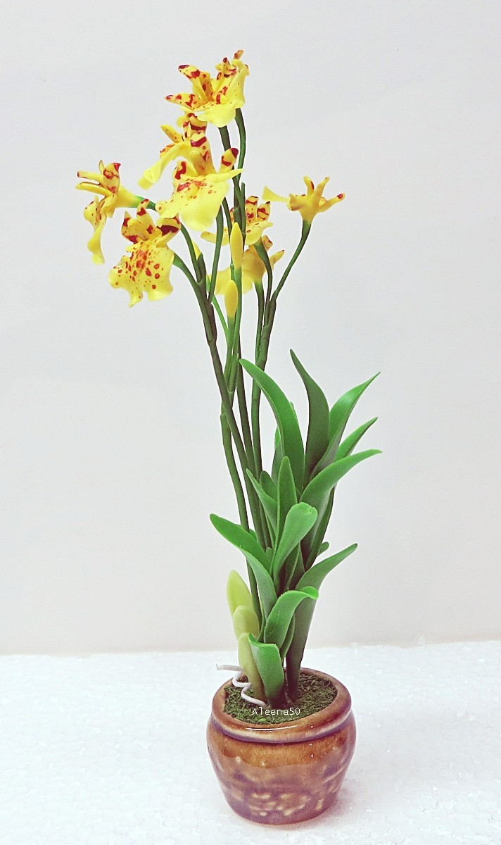 US Stock 7″H Handmade Air-Dry-Clay Miniature Dancing-Lady Orchid Arranged in Pot