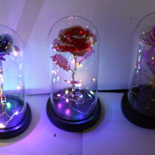 Red Eternal Rose w LED Lights in Glass Dome Mothers Valentines Anniversary Gift