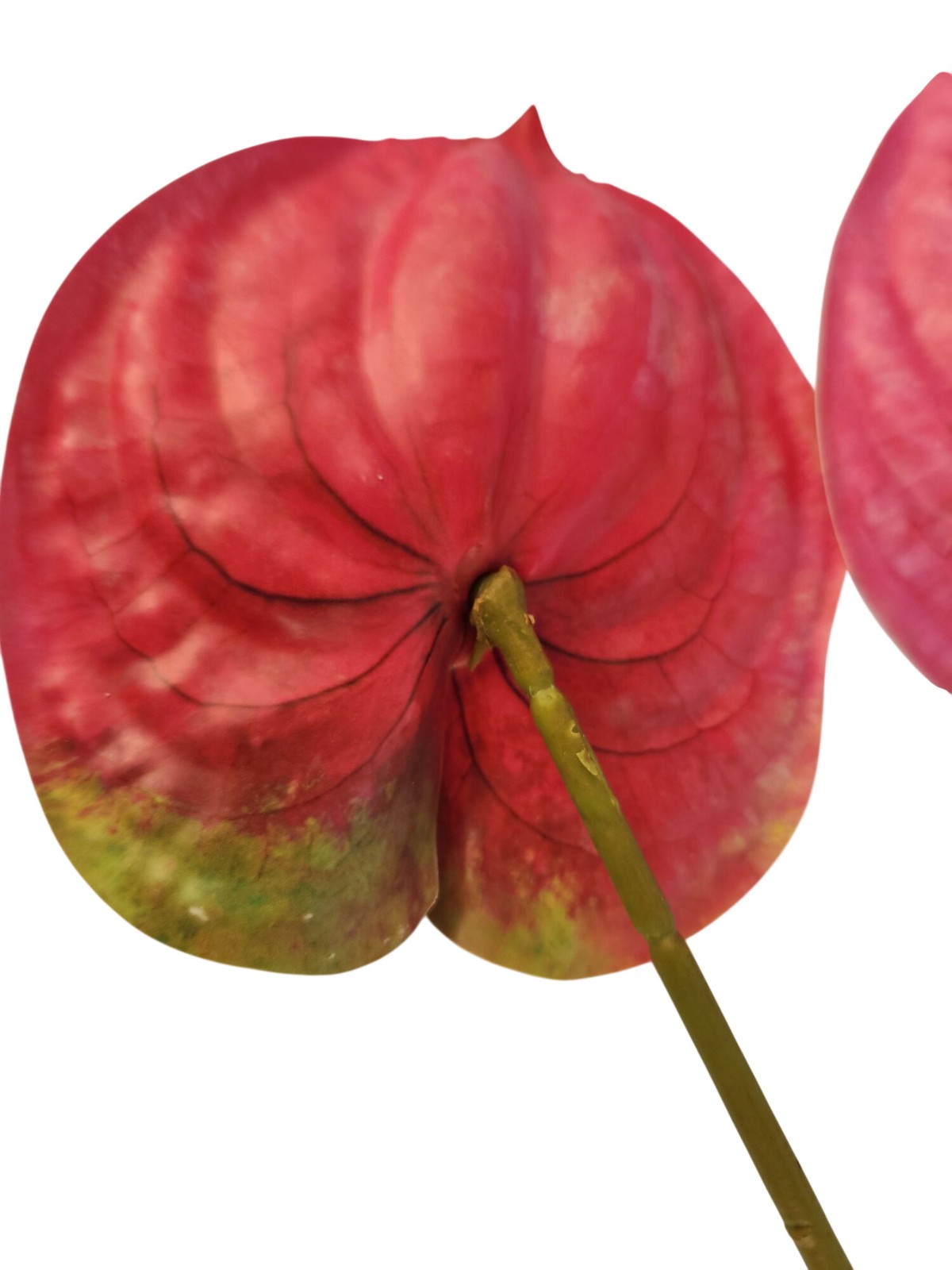 Pink Artificial Anthurium Stems Set of 3, 23 Inch Faux Modern Tropical Decor