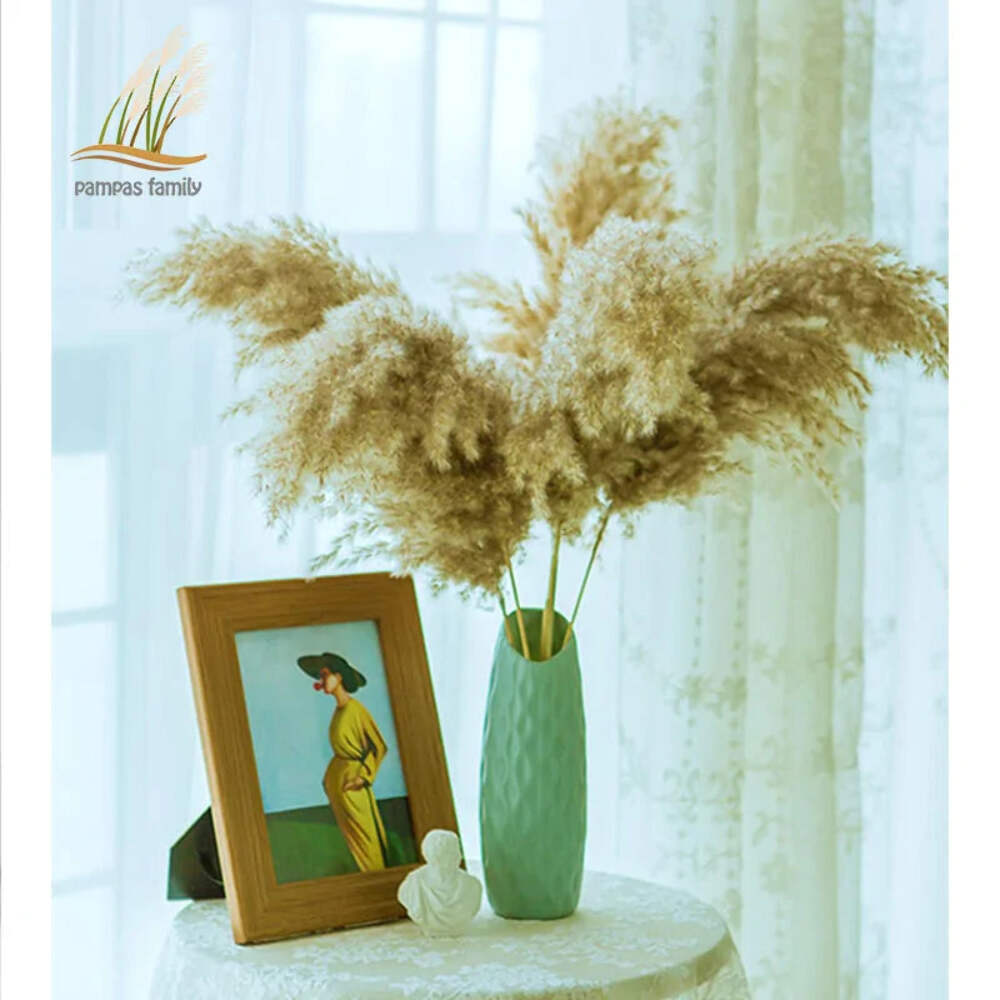 Pampas Grass Dried Decor Natural Home Boho Bouquet Decor, PCS for Stems White