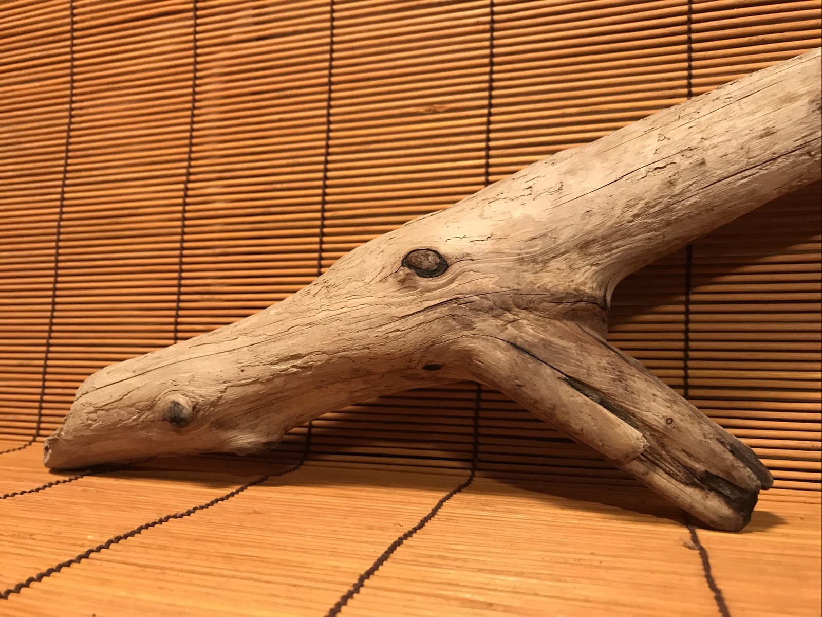 Beautiful 23″ DRIFTWOOD Piece Terrarium Aquascape Floral Decor Crafts Art