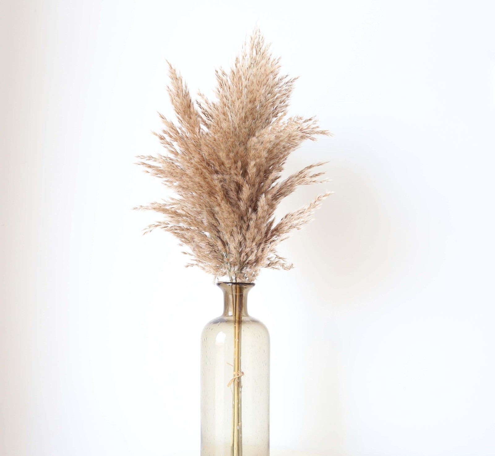 100 Stems Dried Pampas Grass, Boho Table Decor Natural Reed 100 PCS, White