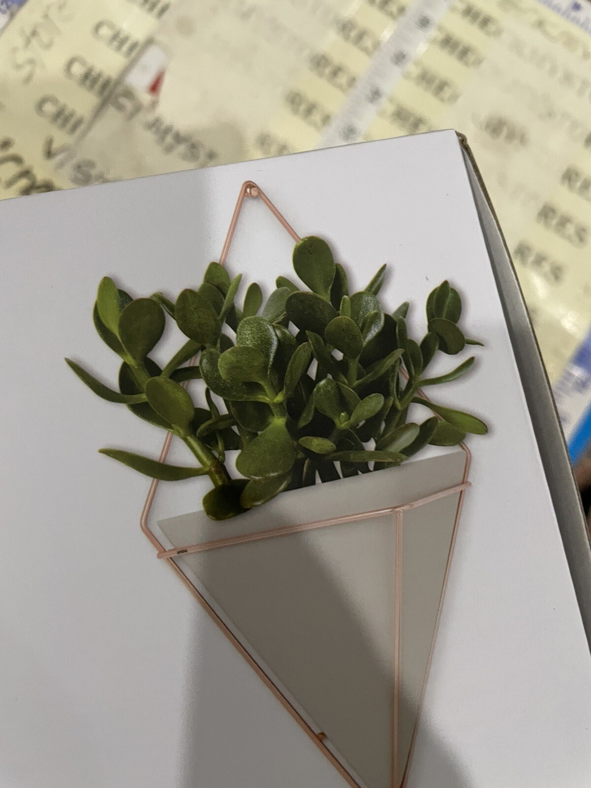 3X Trigg Hanging Planter Vase Umbra Geometric Large Concrete Resin Copper