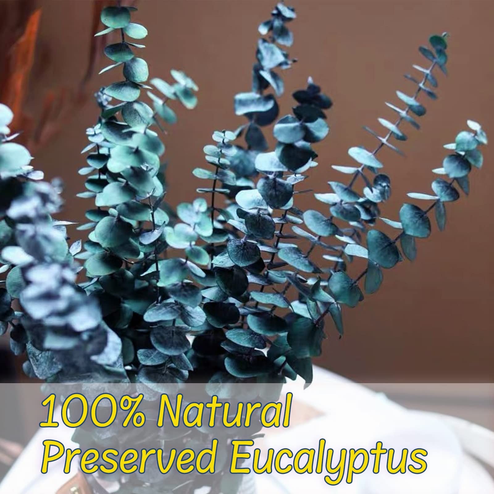 16Pcs Dried Eucalyptus Stems, 17” Real Preserved Eucalyptus Shower Plant