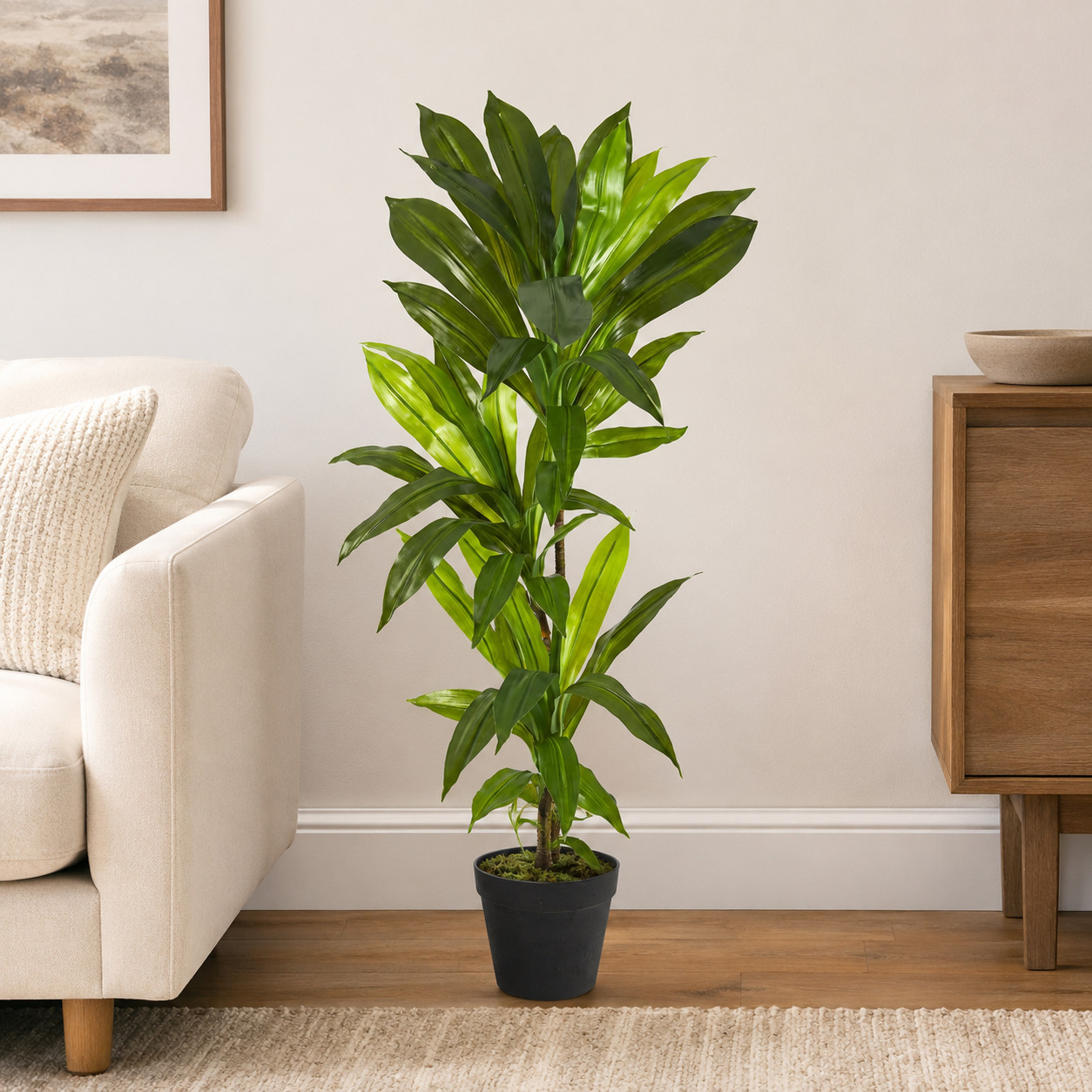 3′ Dracaena Artificial Plant (Real Touch)