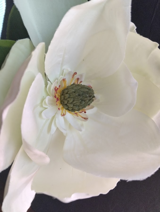 Magnolia stem CREAM