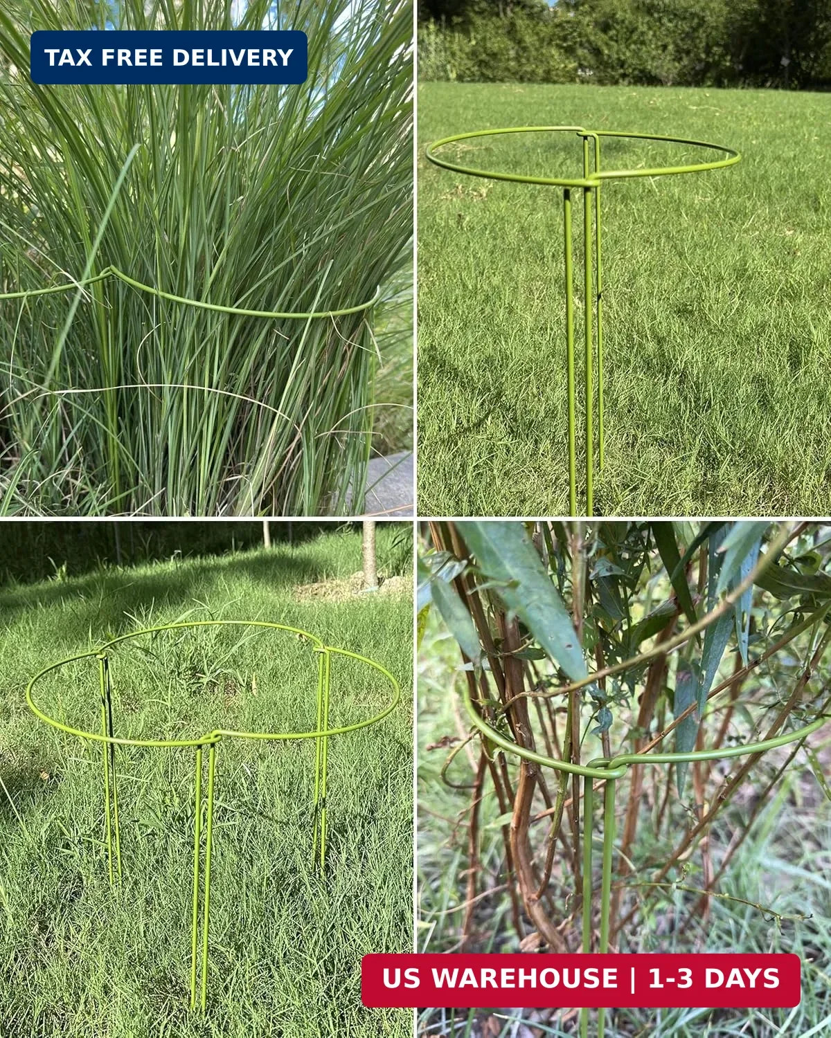 6-Packy Plant Support Stakes, Steel Stakes for Indoor Plants, Monstera & Peony S
