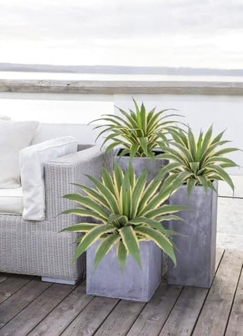 Large Artificial Agave Plants Tall Fake Agave Plant in 16.9″ Light Green-16.9″