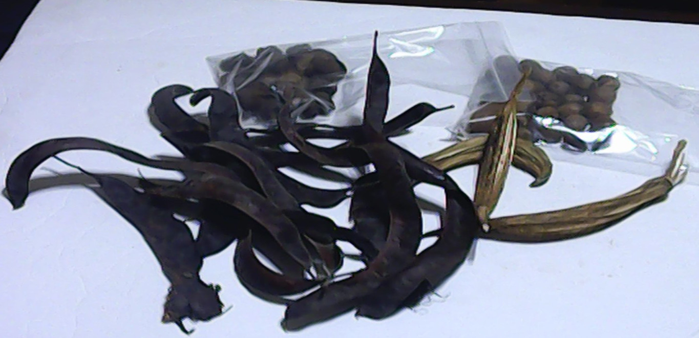 Assorted Lot of Dried Items For Wreaths & Floral Arrangements