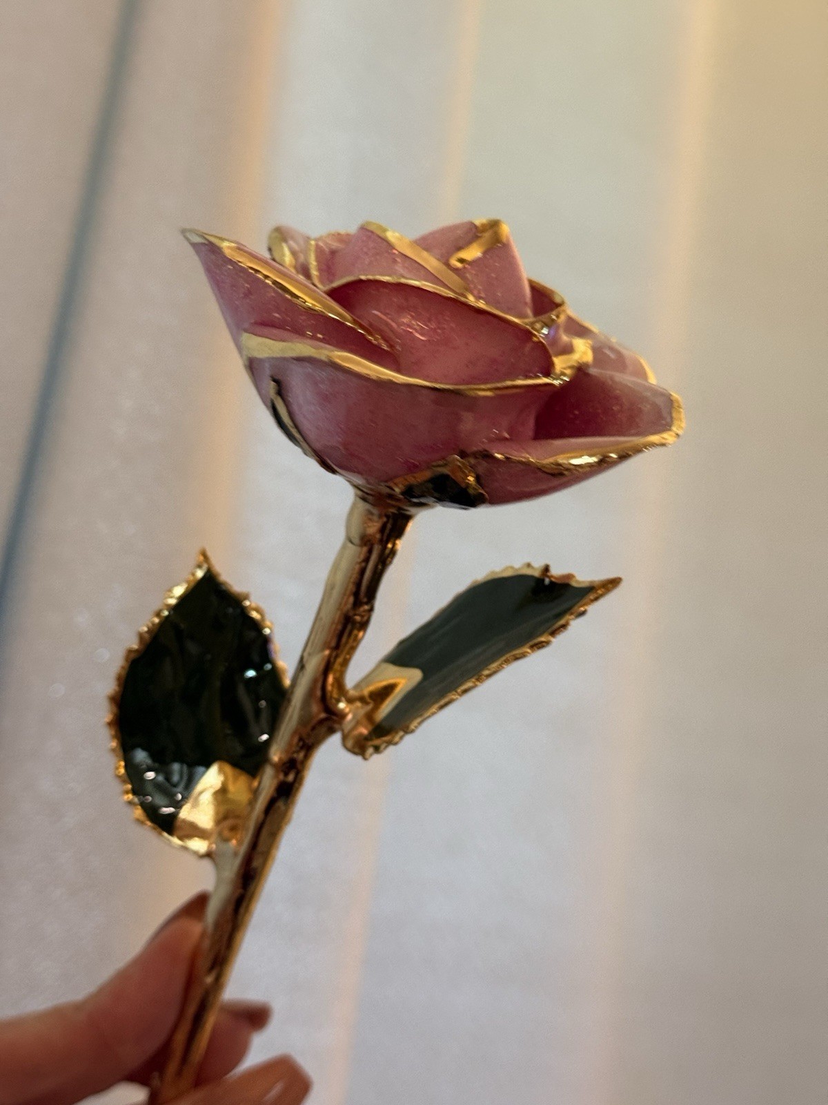 real rose dipped in 24k gold in Plum