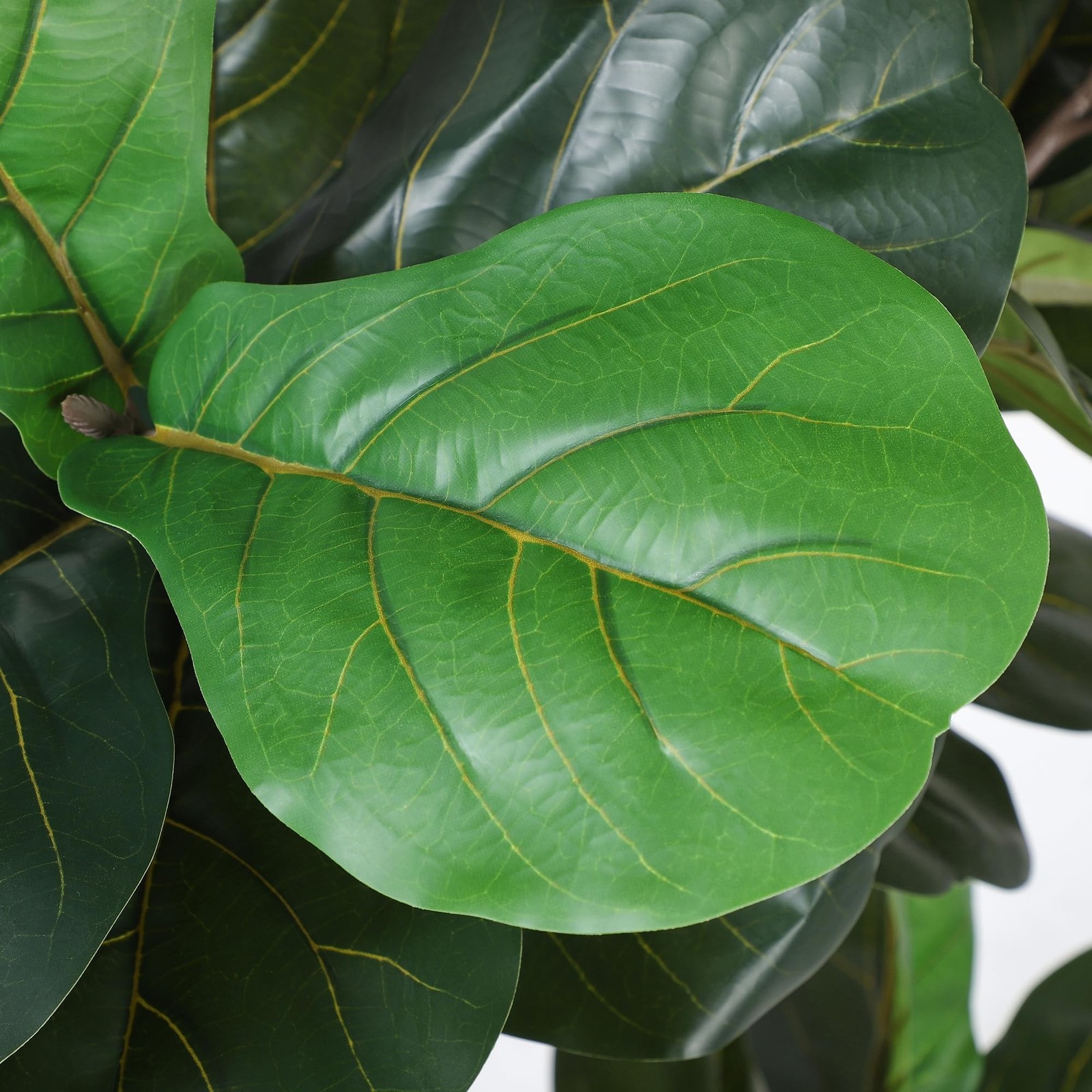 Jocoevol Artificial Fiddle Leaf Tree, 5ft Faux Plant Fake Ficus Lyrata Silk