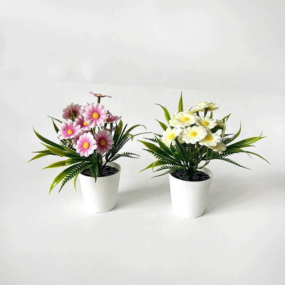 Indoor Chrysanthemum Bonsai Style Plant for Desk Nightstand Table Decor