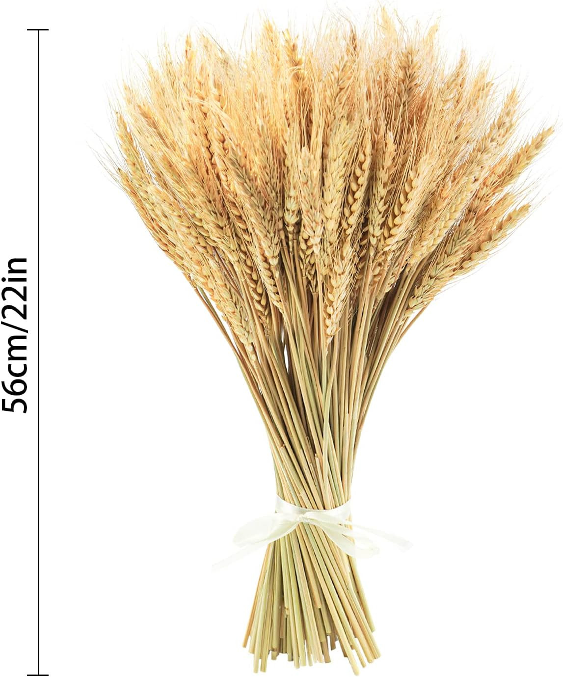 100 Stems Dried Wheat Stalks 17.7″ Natural Flowers for Home Wedding Decor Boho