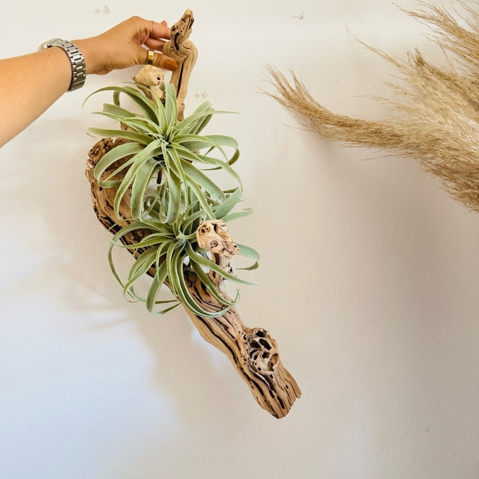 NEW POTTERY BARN Soft Mint Green Faux Air Plant Tillandsia Table Decor Display
