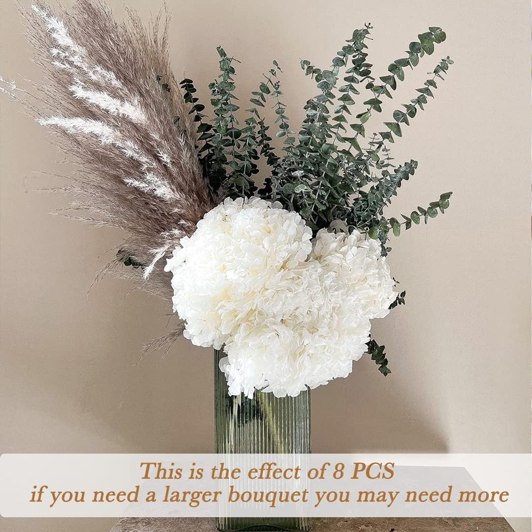 5 PCS Dried Preserved White Hydrangea Flowers – Length 14” Corolla Size 3”-