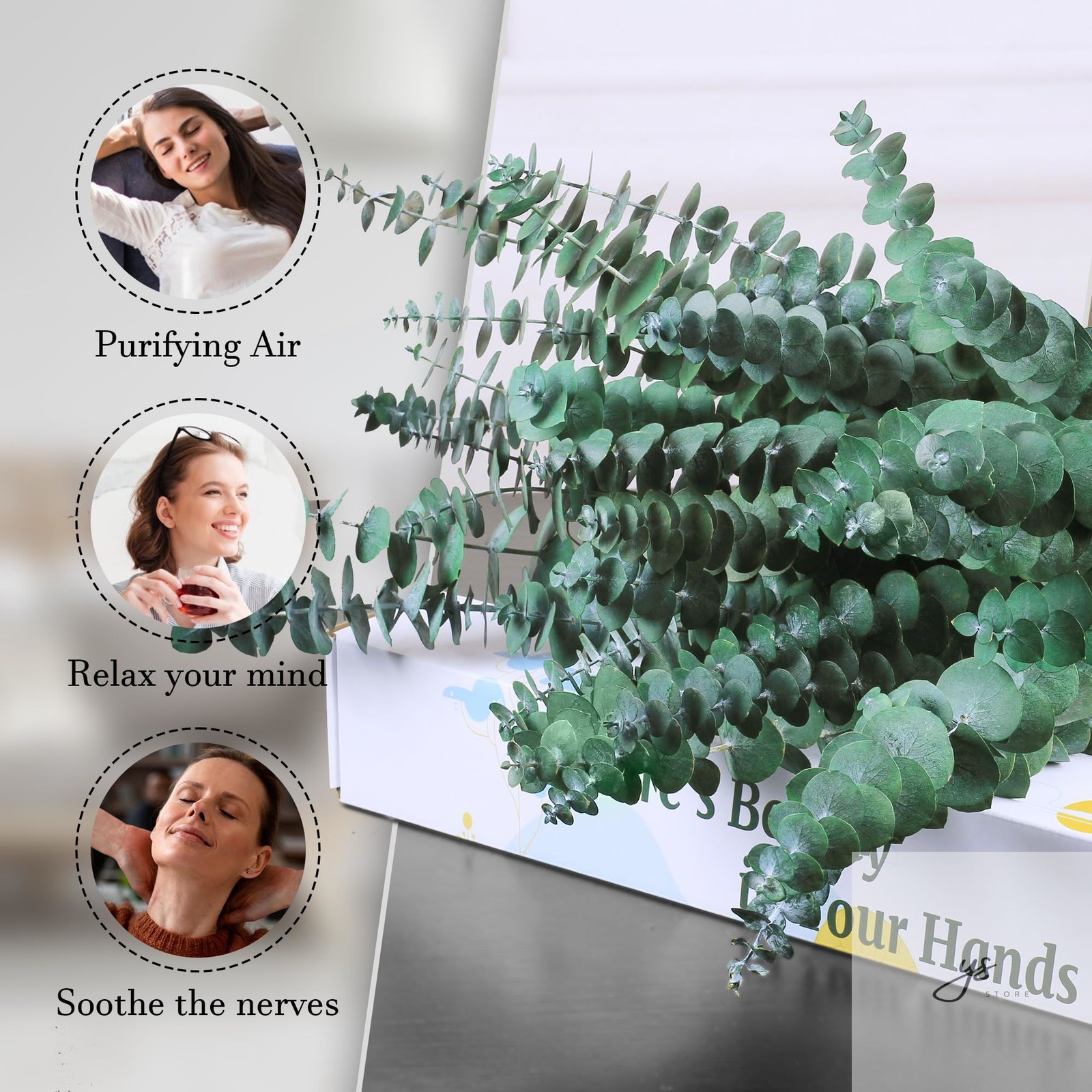 30Pcs Dried Eucalyptus Stems, 17″ Real Preserved Eucalyptus Plant for Shower, Fr