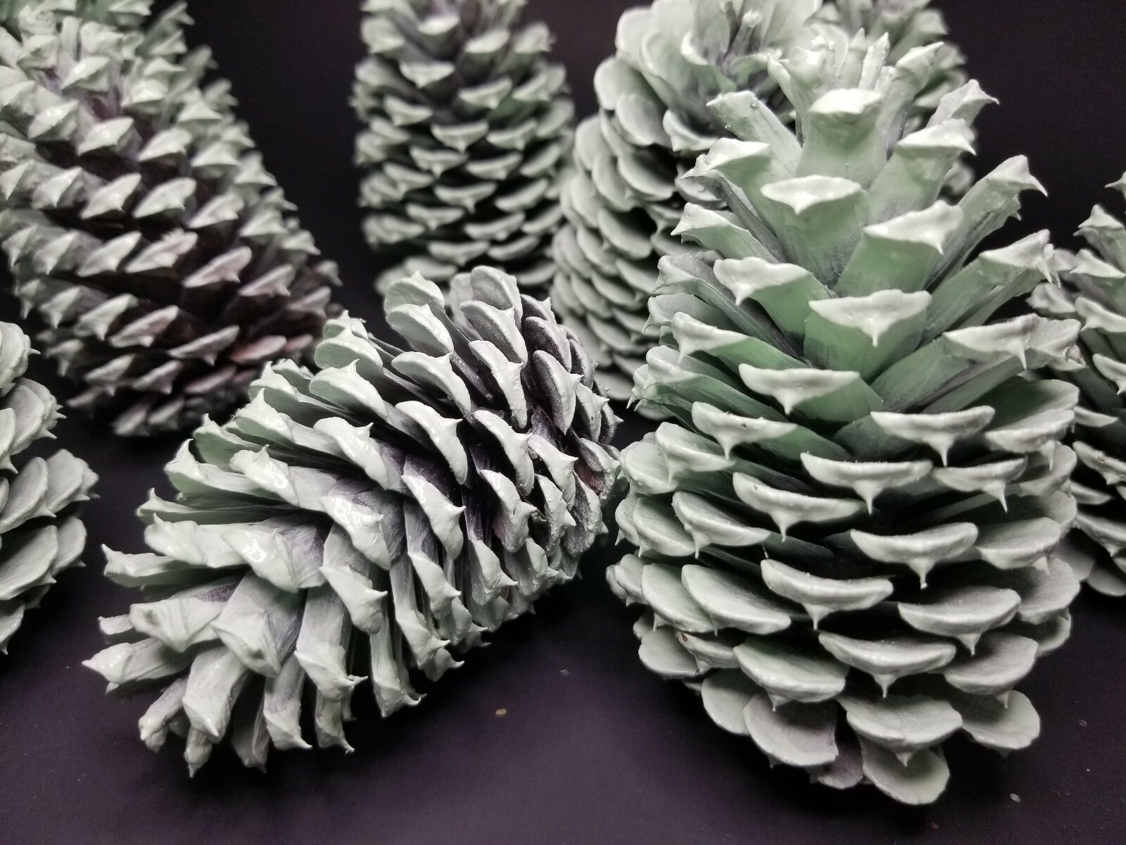 🎅15 Mint Green Pine Cones Hand Painted Natural Premium Ponderosa Cones