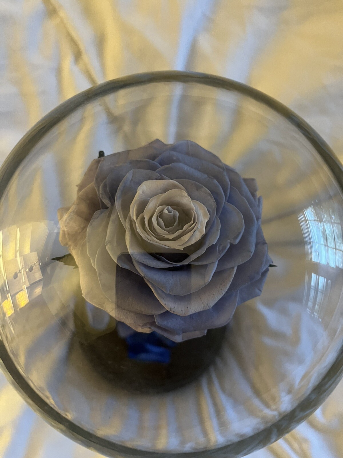 DEFAITH Upgraded Blue Real Rose 9” Beauty and The Beast Rose in Glass Forever