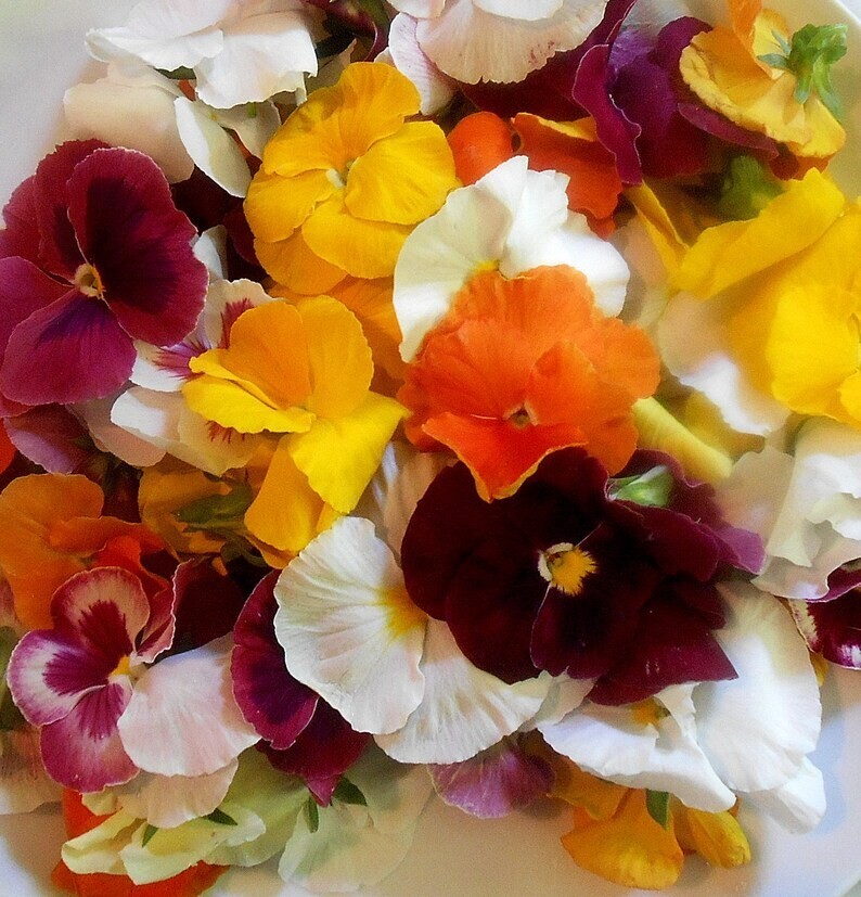 Fresh Edible Garnish Flowers-Bright Pansies Overnight Free Shipping WEDNESDAYS