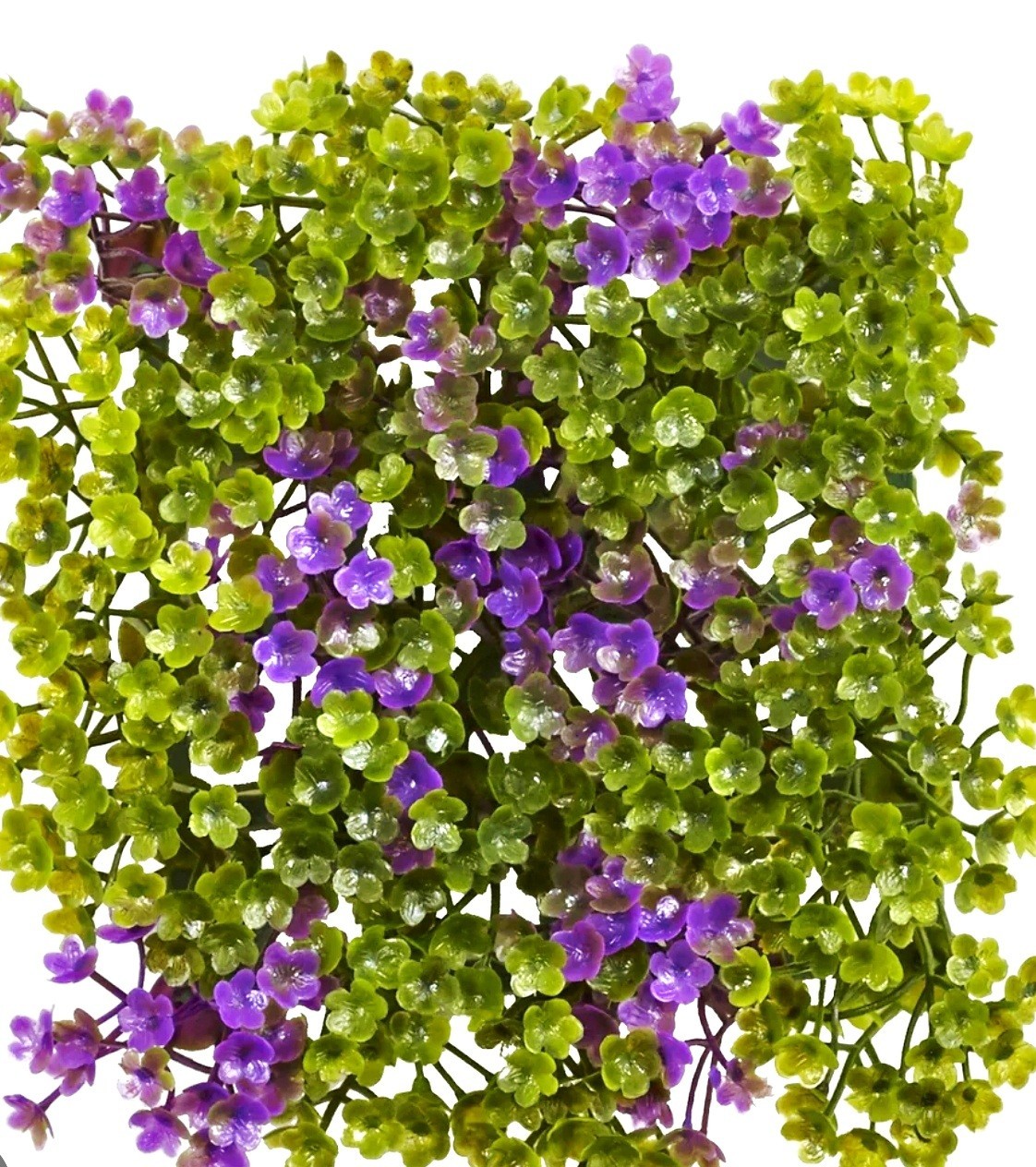 Subject: 6×6 Artificial Greenery Panel – Corsican Mint Style Wall Décor 🌿💜