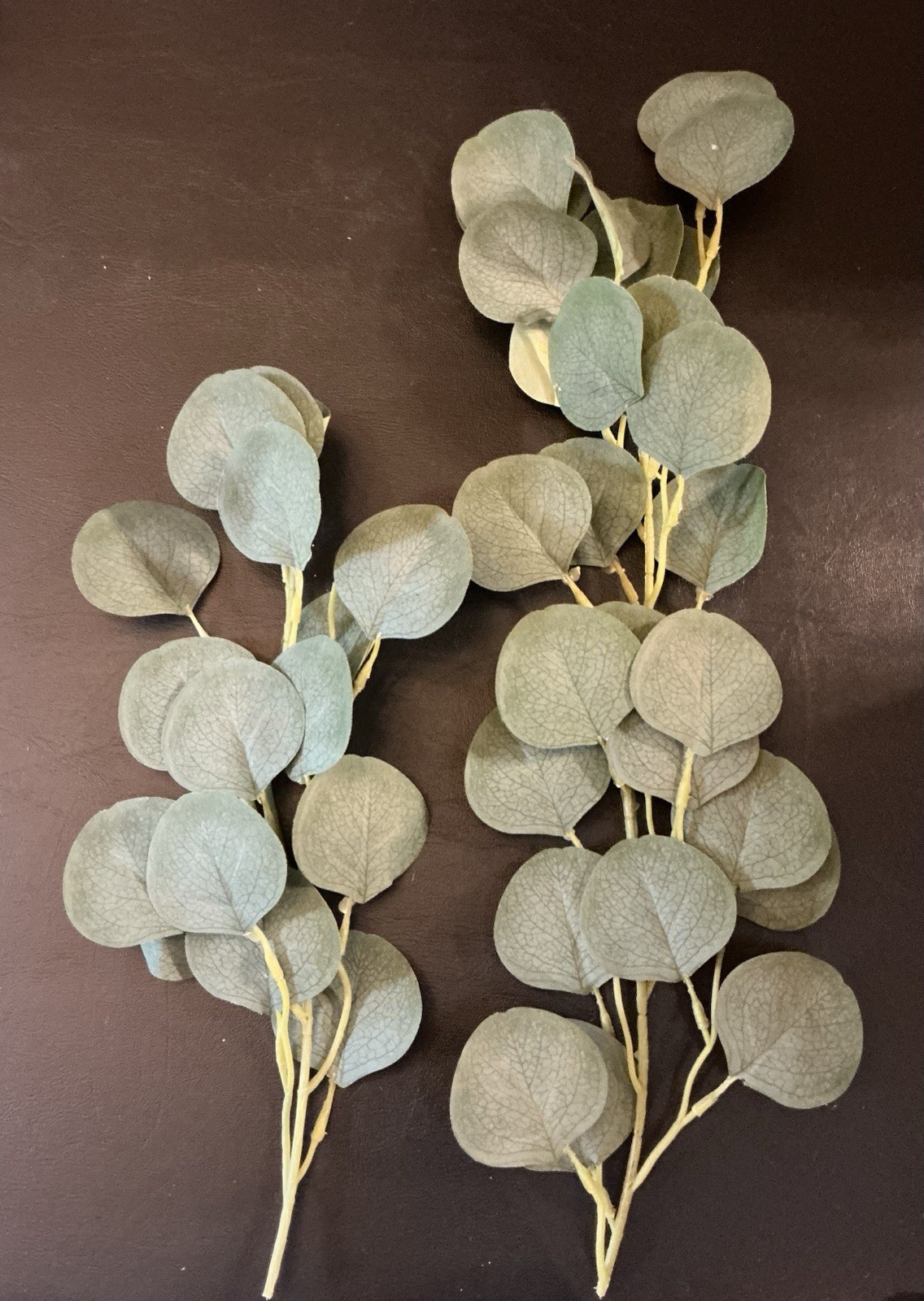 2 Pc Silver Dollar Green Faux Eucalyptus Leaf Stems