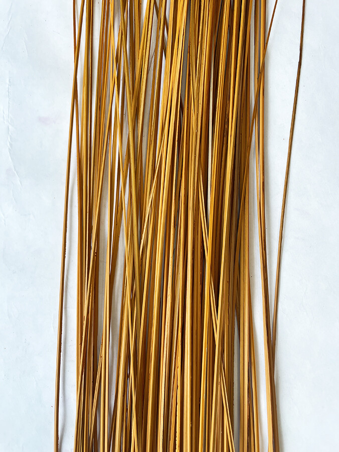 Wispies Pack of 100 Stems 4ft Orange